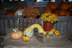 IMG_6669-1