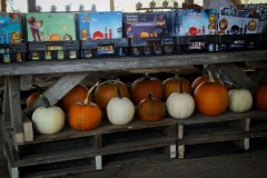 IMG_6676-1