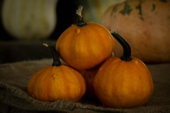 IMG_6678-1